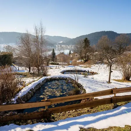 Moho Mountain ジェラールメ