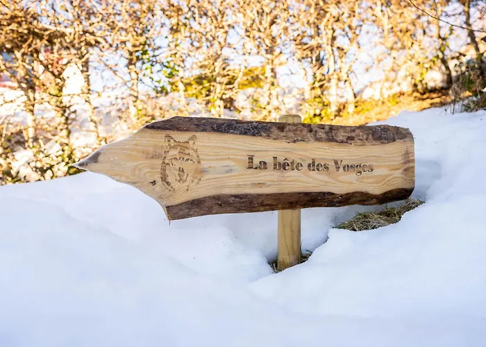 Moho Mountain Gérardmer