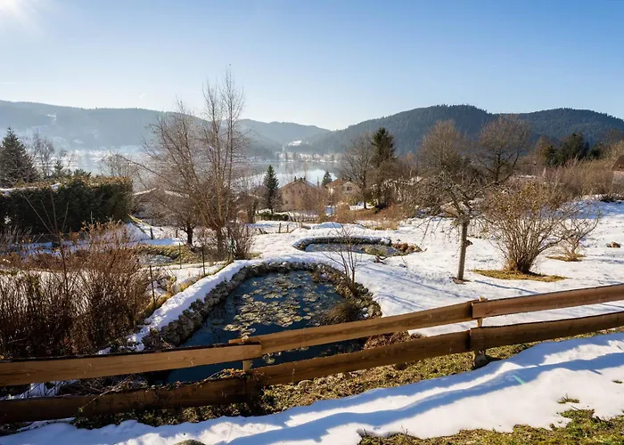 Moho Mountain Gérardmer